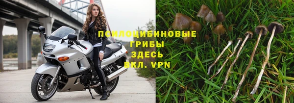a pvp Алзамай