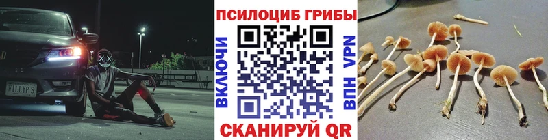 Псилоцибиновые грибы Psilocybine cubensis  ОМГ ОМГ онион  darknet какой сайт  наркошоп  Кемь 